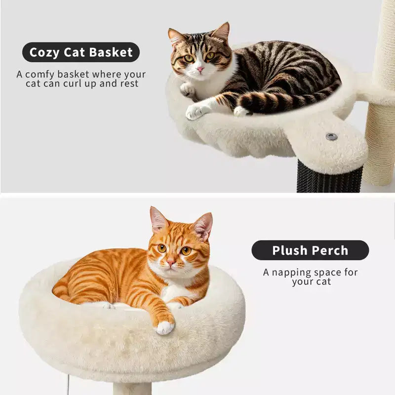 Meuble bac à litière en bois multi-niveaux avec poteau à griffer et grotte pour chat, Meuble litière pour chat caché avec poteau à griffer en sisal, Niche douillette
